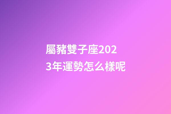 屬豬雙子座2023年運勢怎么樣呢-第1張-星座運勢-玄機派