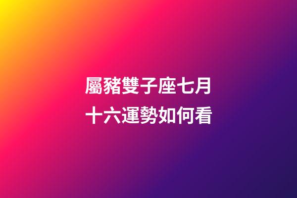 屬豬雙子座七月十六運勢如何看-第1張-星座運勢-玄機派