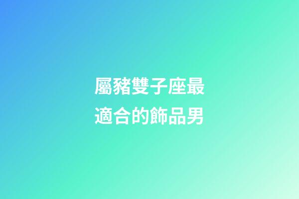 屬豬雙子座最適合的飾品男-第1張-星座運(yùn)勢(shì)-玄機(jī)派