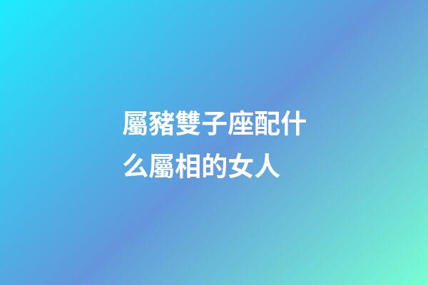 屬豬雙子座配什么屬相的女人-第1張-星座運勢-玄機派