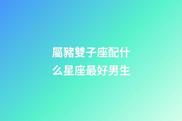 屬豬雙子座配什么星座最好男生-第1張-星座運(yùn)勢-玄機(jī)派