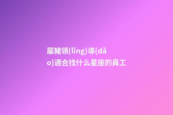 屬豬領(lǐng)導(dǎo)適合找什么星座的員工-第1張-星座運(yùn)勢(shì)-玄機(jī)派