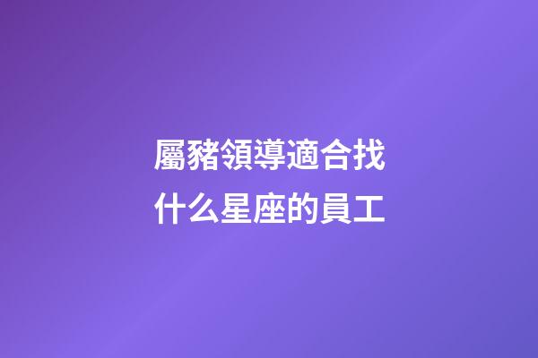 屬豬領導適合找什么星座的員工