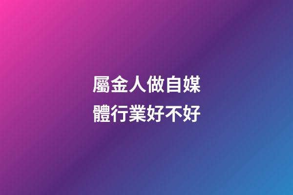 屬金人做自媒體行業好不好