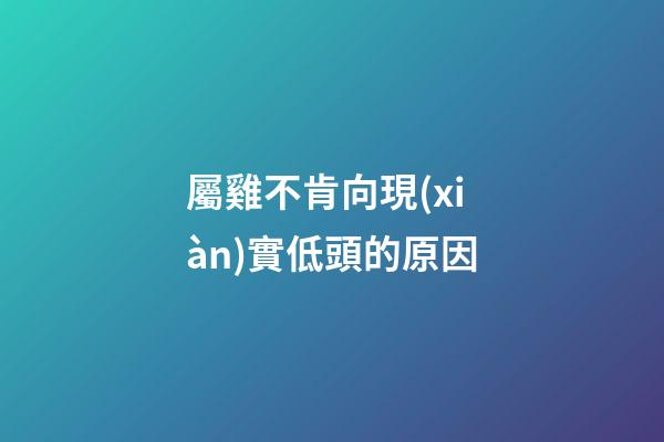 屬雞不肯向現(xiàn)實低頭的原因