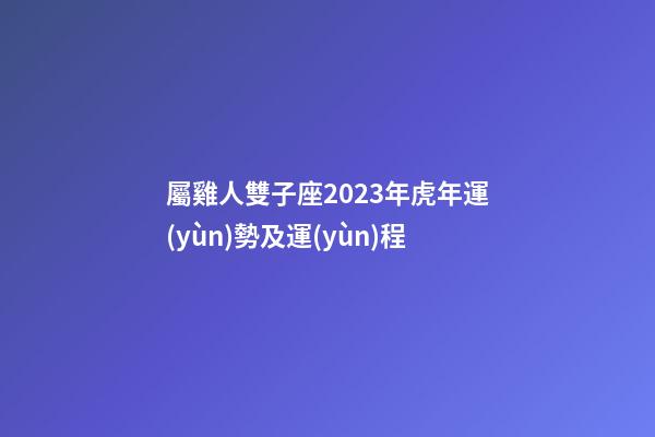 屬雞人雙子座2023年虎年運(yùn)勢及運(yùn)程-第1張-星座運(yùn)勢-玄機(jī)派