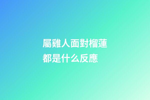 屬雞人面對榴蓮都是什么反應
