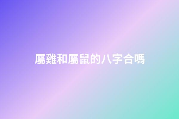 屬雞和屬鼠的八字合嗎