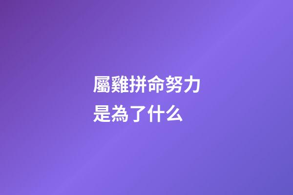 屬雞拼命努力是為了什么