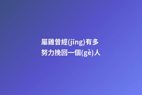 屬雞曾經(jīng)有多努力挽回一個(gè)人