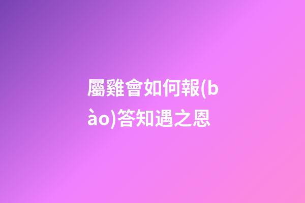 屬雞會如何報(bào)答知遇之恩