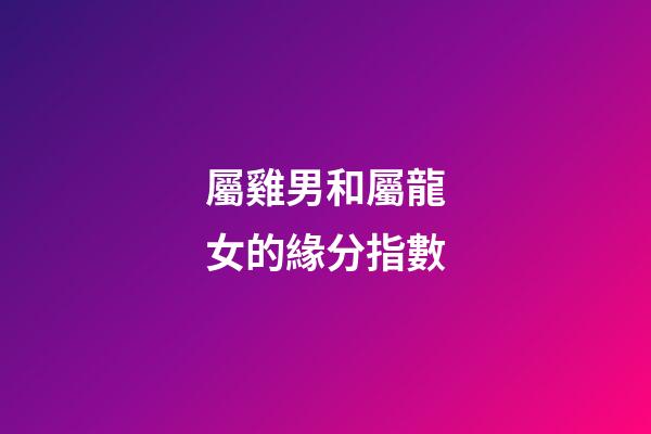 屬雞男和屬龍女的緣分指數