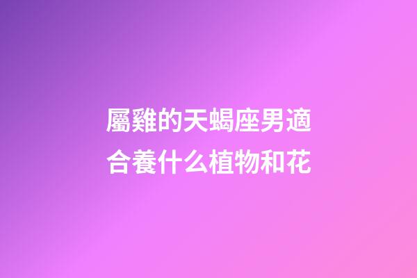 屬雞的天蝎座男適合養什么植物和花-第1張-星座運勢-玄機派
