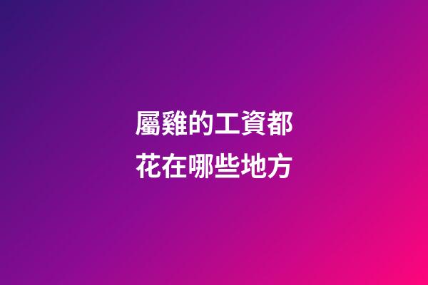 屬雞的工資都花在哪些地方