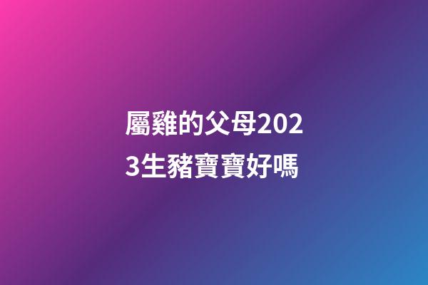 屬雞的父母2023生豬寶寶好嗎