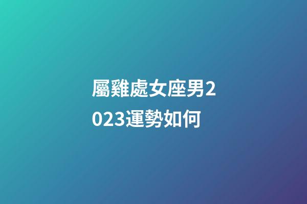 屬雞處女座男2023運勢如何-第1張-星座運勢-玄機派