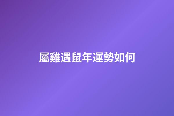 屬雞遇鼠年運勢如何