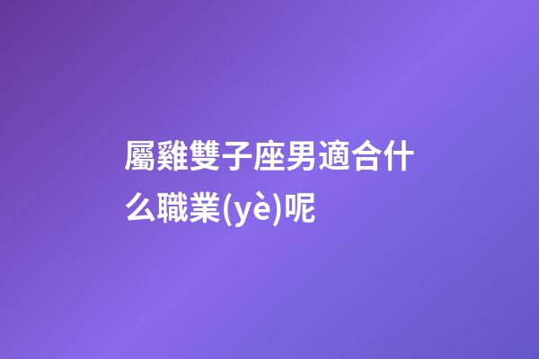 屬雞雙子座男適合什么職業(yè)呢-第1張-星座運(yùn)勢-玄機(jī)派