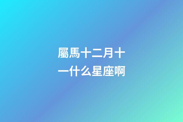 屬馬十二月十一什么星座啊-第1張-星座運勢-玄機派