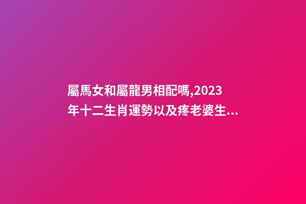屬馬女和屬龍男相配嗎,2023年十二生肖運勢以及疼老婆生肖和旺夫生肖大全-第1張-觀點-玄機派