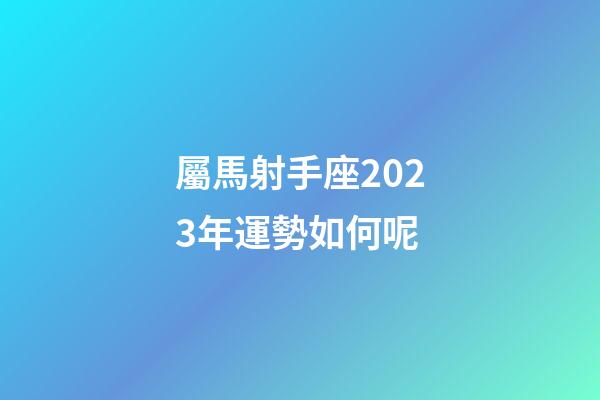 屬馬射手座2023年運勢如何呢-第1張-星座運勢-玄機派