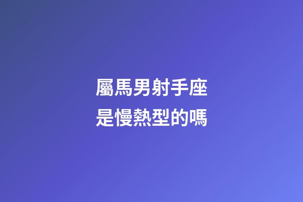屬馬男射手座是慢熱型的嗎-第1張-星座運勢-玄機派