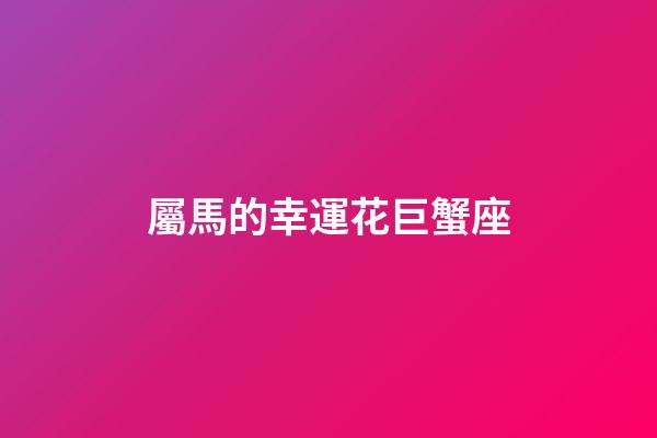 屬馬的幸運花巨蟹座-第1張-星座運勢-玄機派