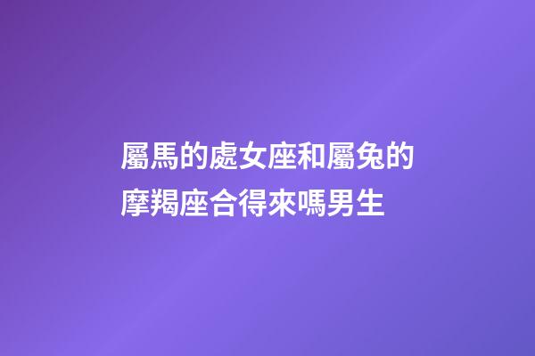 屬馬的處女座和屬兔的摩羯座合得來嗎男生-第1張-星座運勢-玄機派
