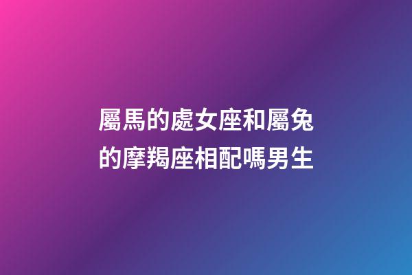 屬馬的處女座和屬兔的摩羯座相配嗎男生-第1張-星座運勢-玄機派