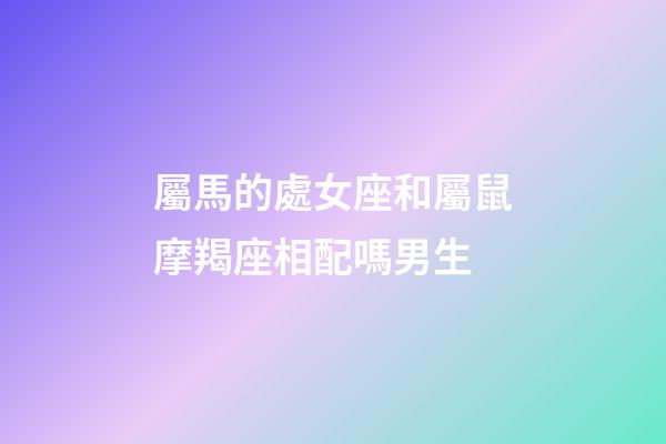 屬馬的處女座和屬鼠摩羯座相配嗎男生-第1張-星座運勢-玄機派