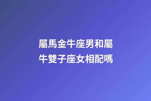 屬馬金牛座男和屬牛雙子座女相配嗎-第1張-星座運勢-玄機派