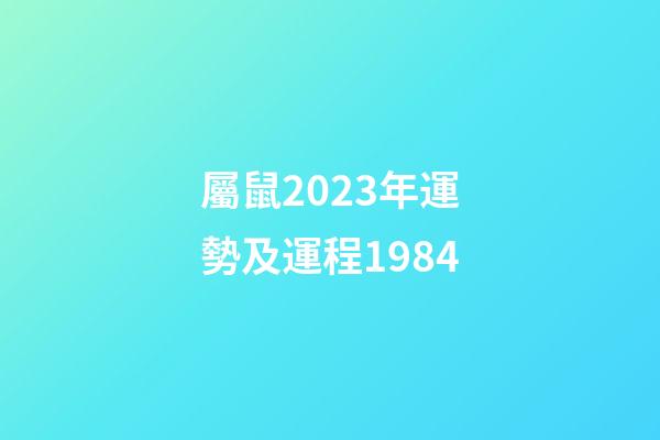 屬鼠2023年運勢及運程1984