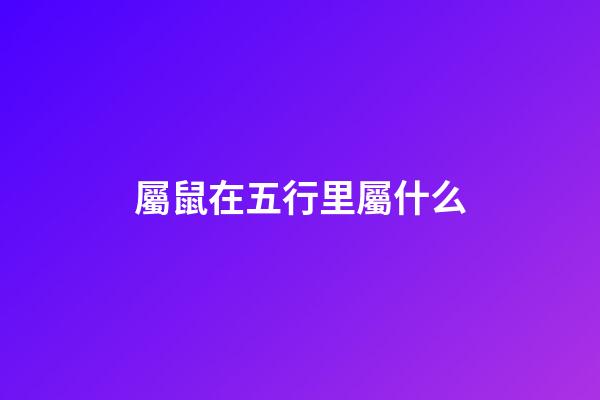 屬鼠在五行里屬什么