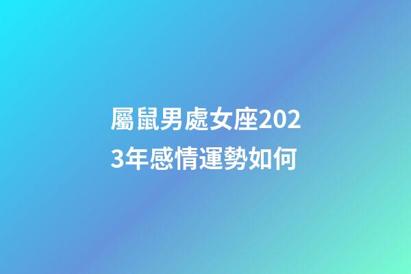 屬鼠男處女座2023年感情運勢如何-第1張-星座運勢-玄機派