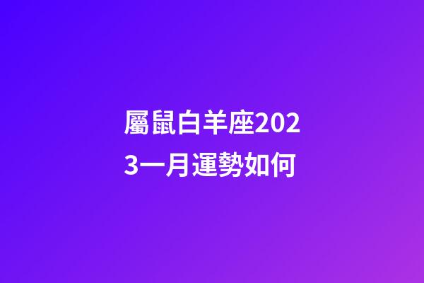 屬鼠白羊座2023一月運勢如何