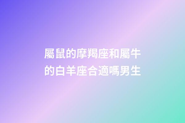 屬鼠的摩羯座和屬牛的白羊座合適嗎男生-第1張-星座運勢-玄機派