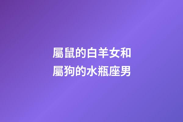 屬鼠的白羊女和屬狗的水瓶座男-第1張-星座運勢-玄機派