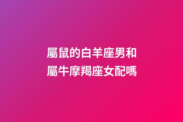 屬鼠的白羊座男和屬牛摩羯座女配嗎-第1張-星座運勢-玄機派