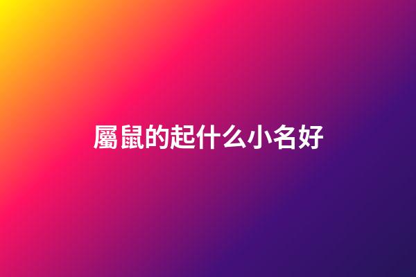 屬鼠的起什么小名好(屬鼠適合取什么小名)-第1張-寶寶起名-玄機派