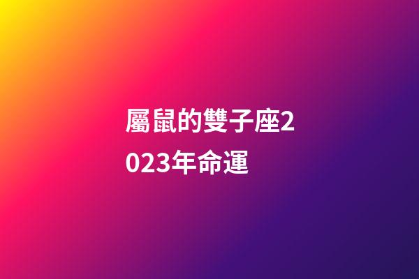 屬鼠的雙子座2023年命運-第1張-星座運勢-玄機派