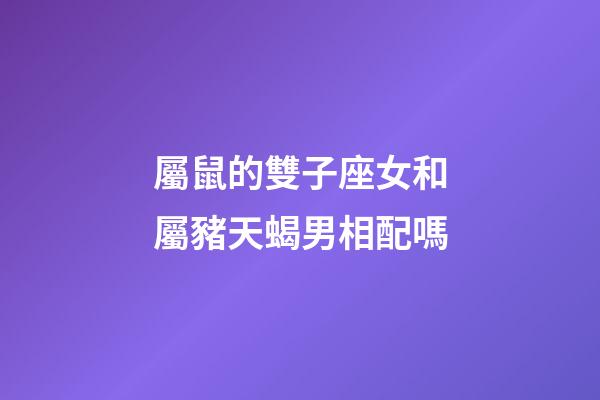 屬鼠的雙子座女和屬豬天蝎男相配嗎-第1張-星座運勢-玄機派