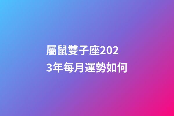 屬鼠雙子座2023年每月運勢如何-第1張-星座運勢-玄機派