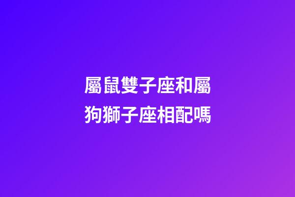 屬鼠雙子座和屬狗獅子座相配嗎-第1張-星座運勢-玄機派
