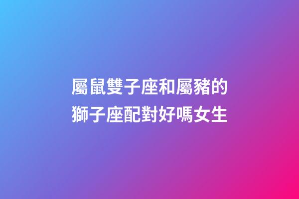 屬鼠雙子座和屬豬的獅子座配對好嗎女生-第1張-星座運(yùn)勢-玄機(jī)派