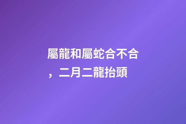 屬龍和屬蛇合不合，二月二龍抬頭-第1張-觀點-玄機派