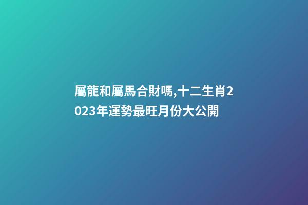 屬龍和屬馬合財嗎,十二生肖2023年運勢最旺月份大公開-第1張-觀點-玄機派