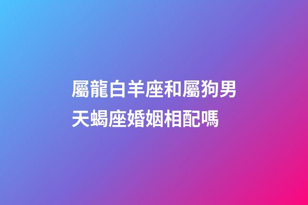 屬龍白羊座和屬狗男天蝎座婚姻相配嗎-第1張-星座運(yùn)勢-玄機(jī)派