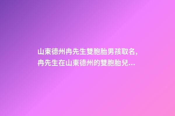 山東德州冉先生雙胞胎男孩取名,冉先生在山東德州的雙胞胎兒子的名字-第1張-公司起名-玄機派