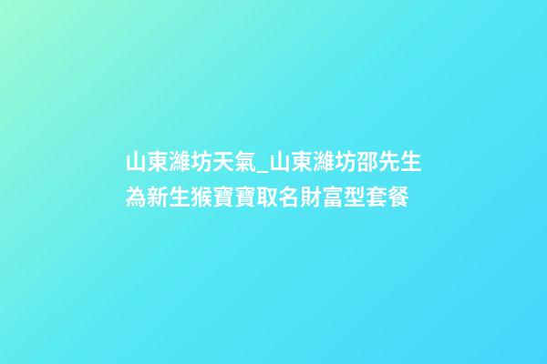 山東濰坊天氣_山東濰坊邵先生為新生猴寶寶取名財富型套餐-第1張-公司起名-玄機派