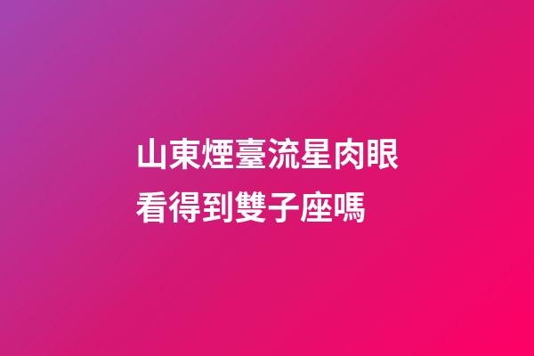 山東煙臺流星肉眼看得到雙子座嗎